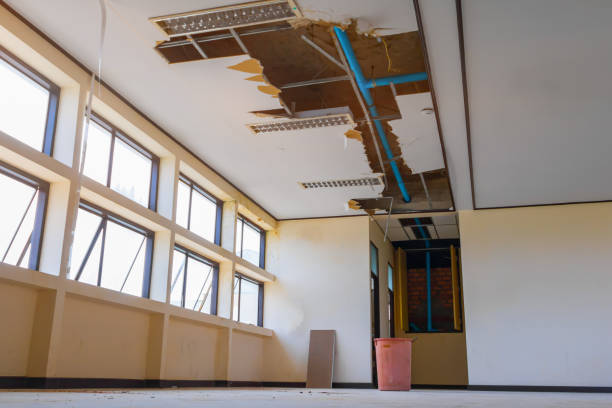 Best Local water damage restoration  in Bort, GA