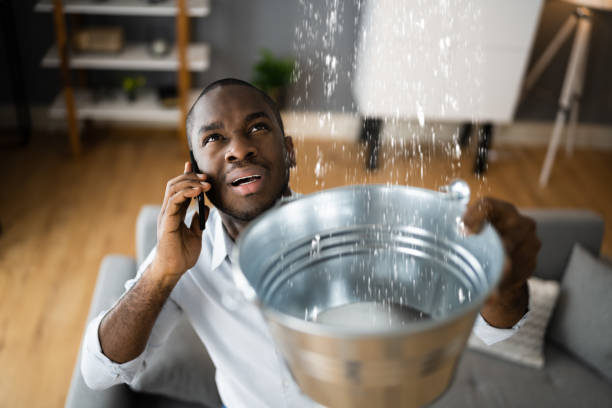 Best Flood damage cleanup  in Bort, GA