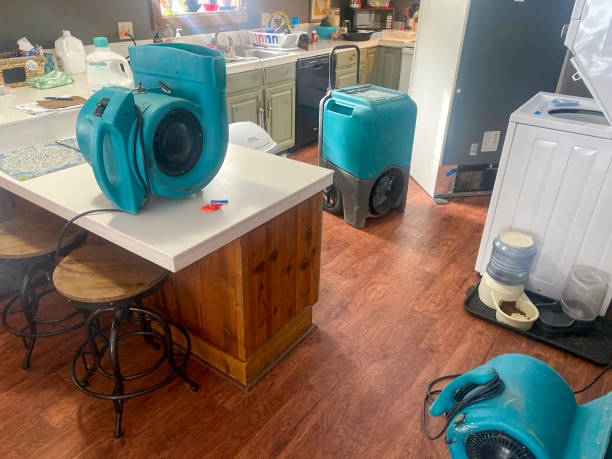 Professional Water damage restoration in Bogart, GA