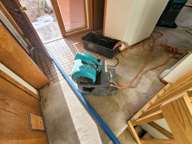 Best Water damage cleanup near me  in Bort, GA