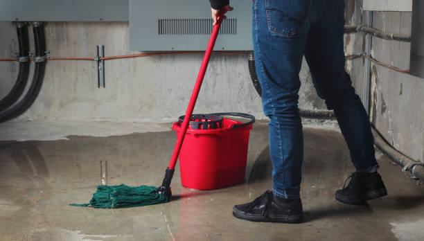 Best 24/7 water damage repair  in Bort, GA