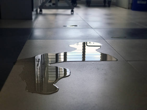 Best 24-hour water damage restoration  in Bort, GA