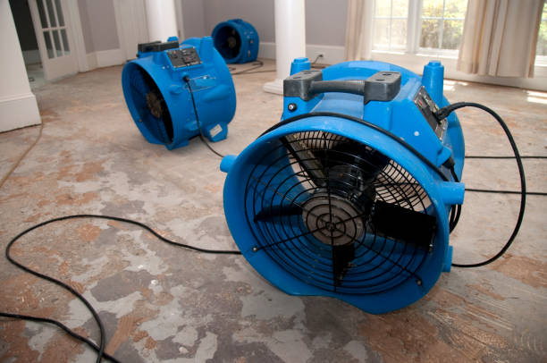 Best Basement water damage restoration  in Bort, GA