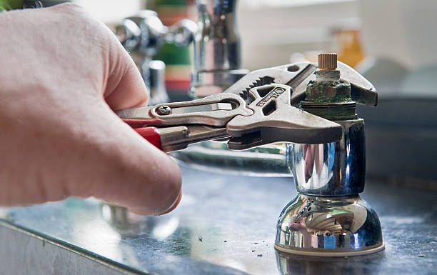 Best Flood restoration services  in Bort, GA
