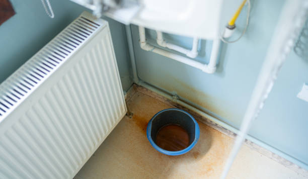 Best Water damage restoration process  in Bort, GA