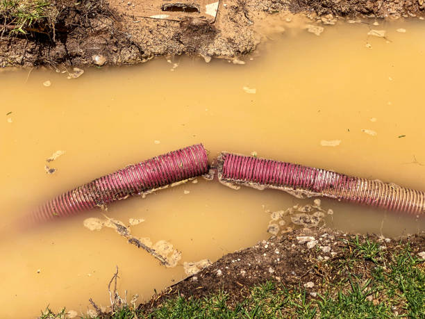 Best Emergency water damage restoration  in Bort, GA