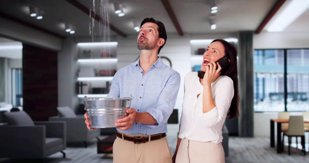 Best Water damage restoration mold remediation  in Bort, GA